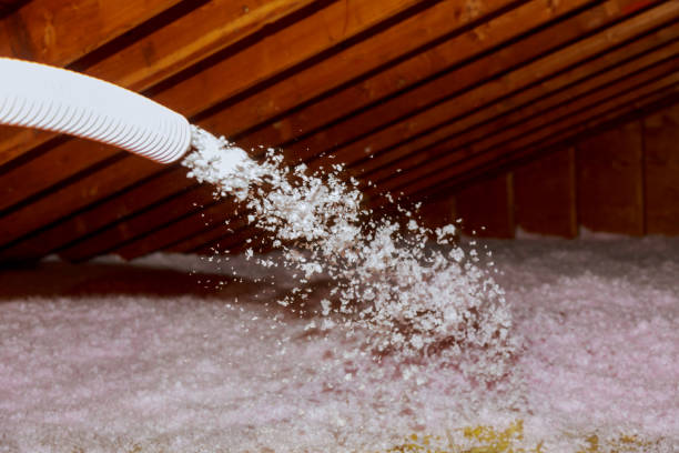 Best Residential Insulation in Buckeye, AZ
