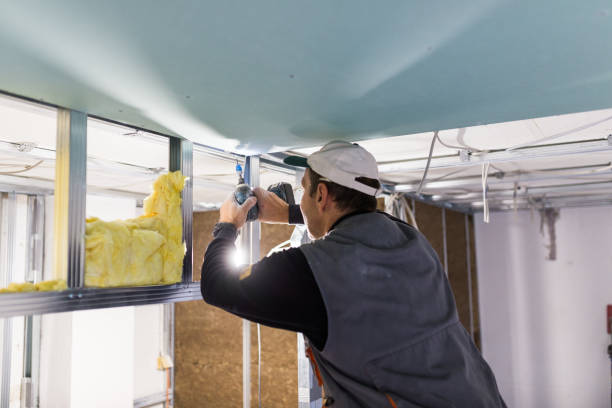 Best Eco-Friendly Insulation in Buckeye, AZ