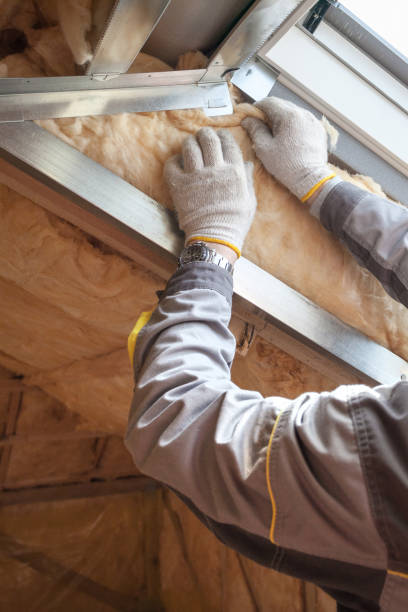 Best Specialized Insulation Services in Buckeye, AZ