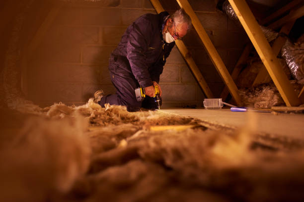 Types of Insulation We Offer in Buckeye, AZ