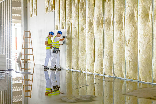 Best Insulation for Specific Applications in Buckeye, AZ